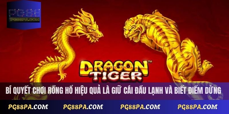 Cách Chơi Rồng Hổ Online Dễ Thắng Cho Người Mới 4 Bí quyết chơi rồng hổ hiệu quả là giữ cái đầu lạnh và biết điểm dừng