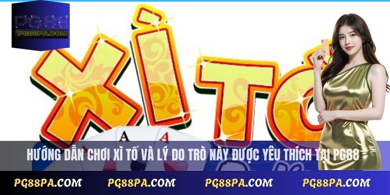 Cách Chơi Bài Xì Tố Đơn Giản Cho Người Mới Tập Chơi 2 Hướng dẫn cách chơi Xì Tố và lý do trò này được yêu thích tại PG88