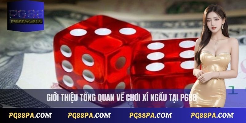 Cách chơi Xí Ngầu hiệu quả: Luật chơi và mẹo chiến thuật hay 2 Giới thiệu tổng quan về cách chơi Xí Ngầu tại PG88