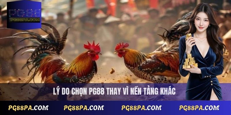 Trực Tiếp Đá Gà Thomo Nhanh Nhất - Không Cần Đăng Ký 3 Lý do chọn PG88 thay vì nền tảng khác